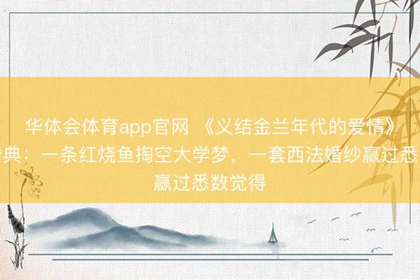华体会体育app官网 《义结金兰年代的爱情》四场婚典:一条红烧鱼掏空大学梦,一套西法婚纱赢过悉数觉得