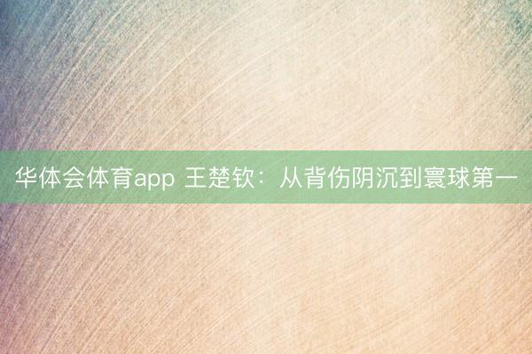 华体会体育app 王楚钦：从背伤阴沉到寰球第一