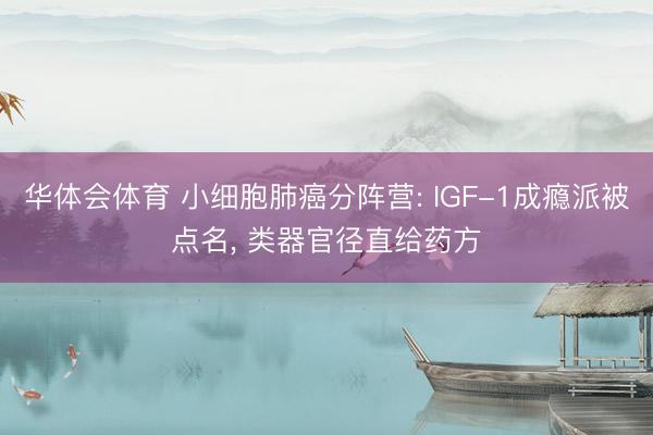 华体会体育 小细胞肺癌分阵营: IGF-1成瘾派被点名， 类器官径直给药方
