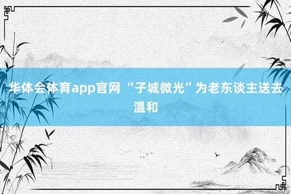 华体会体育app官网 “子城微光”为老东谈主送去温和