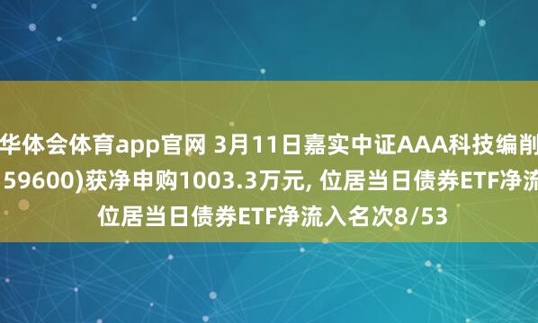 华体会体育app官网 3月11日嘉实中证AAA科技编削公司债ETF(159600)获净申购1003.3万元， 位居当日债券ETF净流入名次8/53