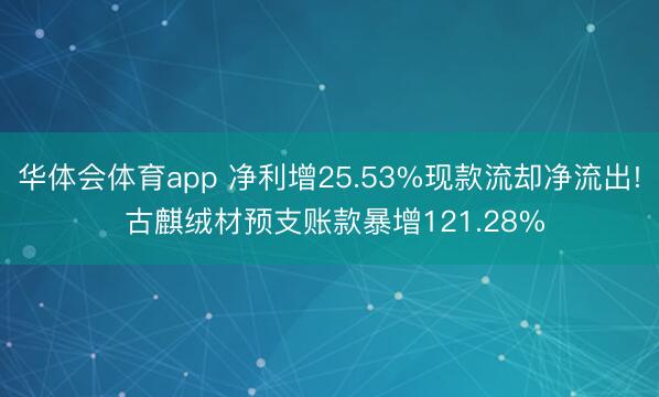 华体会体育app 净利增25.53%现款流却净流出! 古麒绒材预支账款暴增121.28%