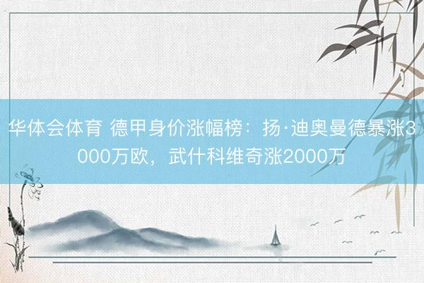 华体会体育 德甲身价涨幅榜：扬·迪奥曼德暴涨3000万欧，武什科维奇涨2000万