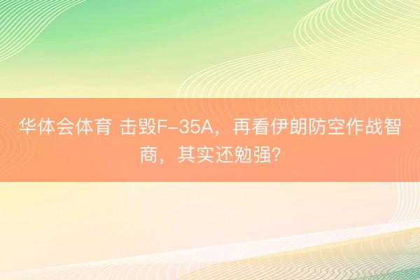 华体会体育 击毁F-35A，再看伊朗防空作战智商，其实还勉强？
