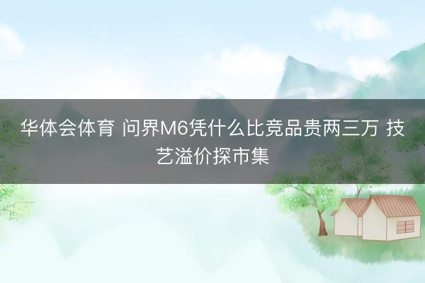 华体会体育 问界M6凭什么比竞品贵两三万 技艺溢价探市集