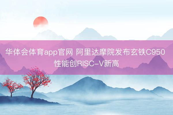 华体会体育app官网 阿里达摩院发布玄铁C950 性能创RISC-V新高