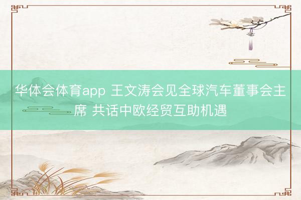 华体会体育app 王文涛会见全球汽车董事会主席 共话中欧经贸互助机遇