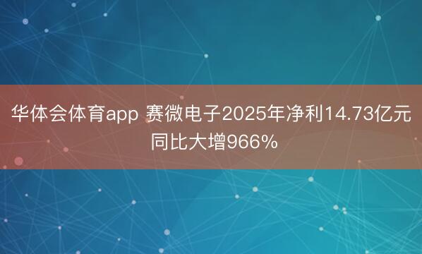 华体会体育app 赛微电子2025年净利14.73亿元 同比大增966%