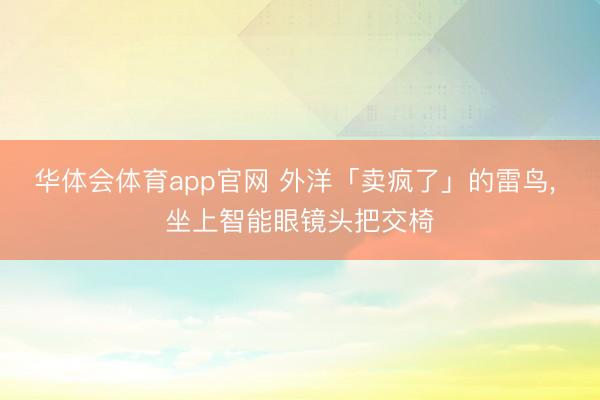 华体会体育app官网 外洋「卖疯了」的雷鸟， 坐上智能眼镜头把交椅