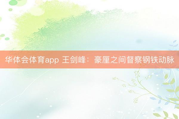 华体会体育app 王剑峰：豪厘之间督察钢铁动脉