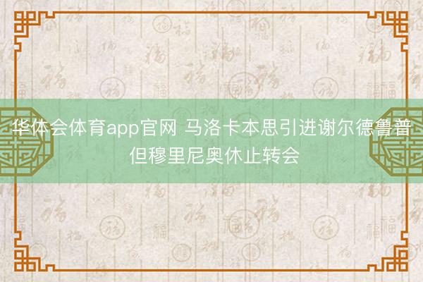 华体会体育app官网 马洛卡本思引进谢尔德鲁普 但穆里尼奥休止转会