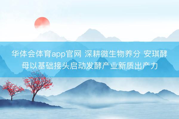 华体会体育app官网 深耕微生物养分 安琪酵母以基础接头启动发酵产业新质出产力