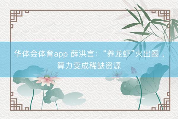华体会体育app 薛洪言:“养龙虾”火出圈 ,算力变成稀缺资源