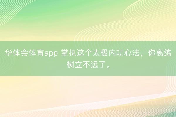 华体会体育app 掌执这个太极内功心法，你离练树立不远了。