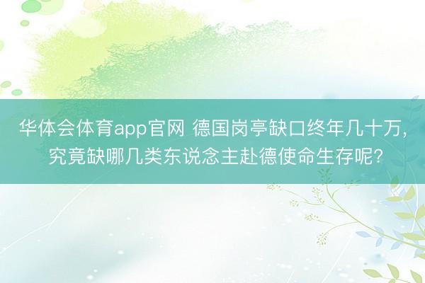 华体会体育app官网 德国岗亭缺口终年几十万， 究竟缺哪几类东说念主赴德使命生存呢?