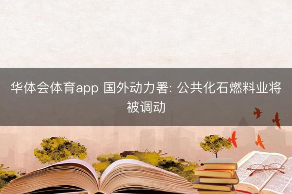 华体会体育app 国外动力署: 公共化石燃料业将被调动
