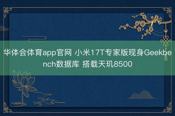 华体会体育app官网 小米17T专家版现身Geekbench数据库 搭载天玑8500