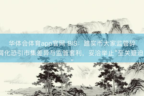 华体会体育app官网 BIS：踏实币大家监管碎屑化恐引市集差异与监管套利，妥洽举止“至关蹙迫”