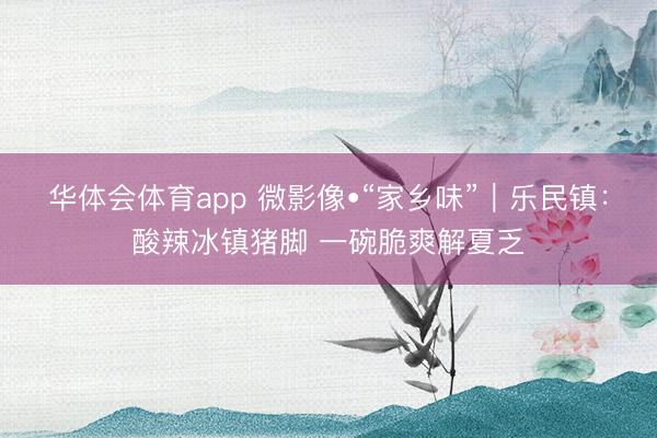 华体会体育app 微影像•“家乡味”｜乐民镇：酸辣冰镇猪脚 一碗脆爽解夏乏