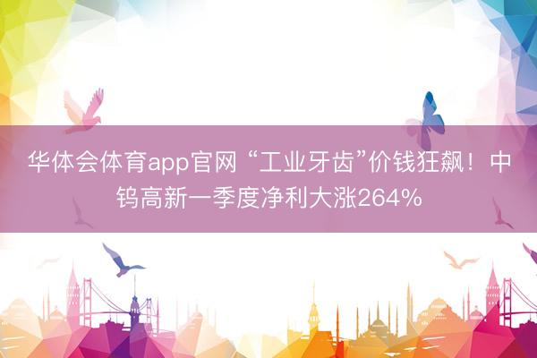 华体会体育app官网 “工业牙齿”价钱狂飙！中钨高新一季度净利大涨264%