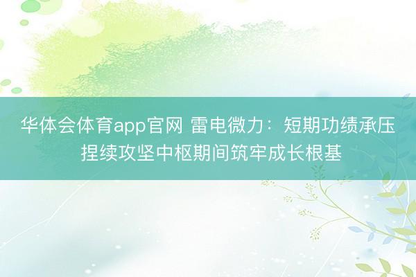 华体会体育app官网 雷电微力：短期功绩承压 捏续攻坚中枢期间筑牢成长根基