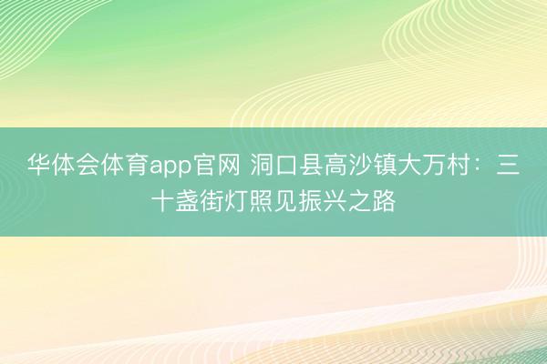 华体会体育app官网 洞口县高沙镇大万村：三十盏街灯照见振兴之路