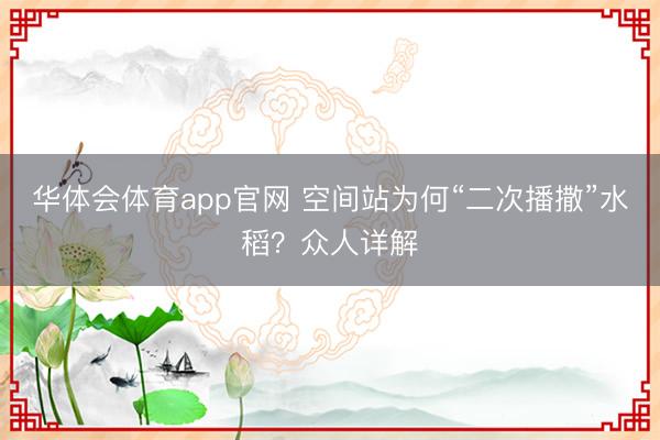 华体会体育app官网 空间站为何“二次播撒”水稻？众人详解