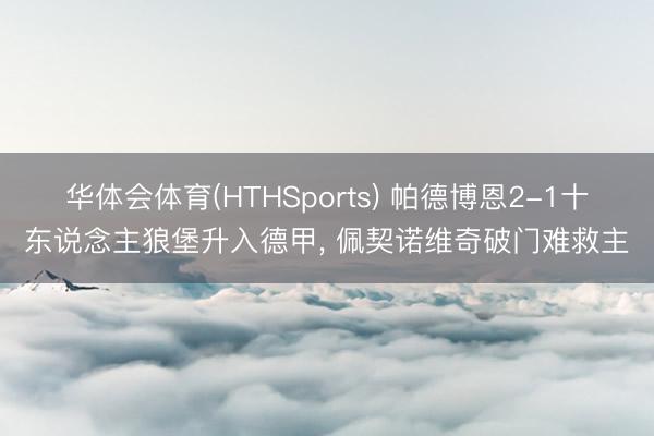 华体会体育(HTHSports) 帕德博恩2-1十东说念主狼堡升入德甲， 佩契诺维奇破门难救主
