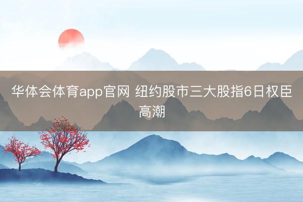 华体会体育app官网 纽约股市三大股指6日权臣高潮